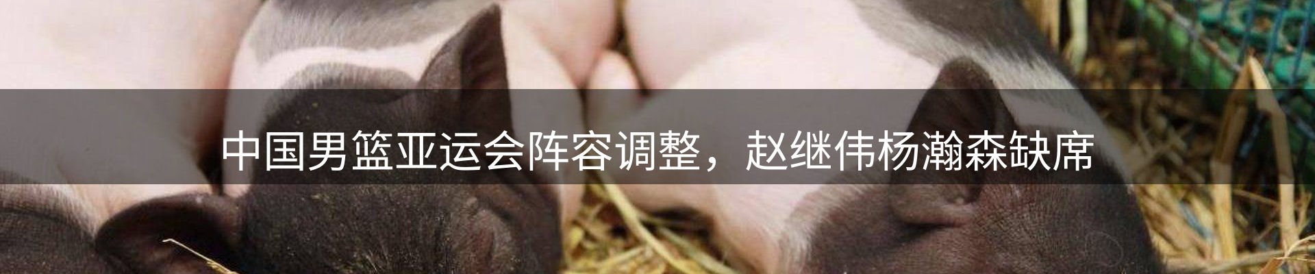 每日精选