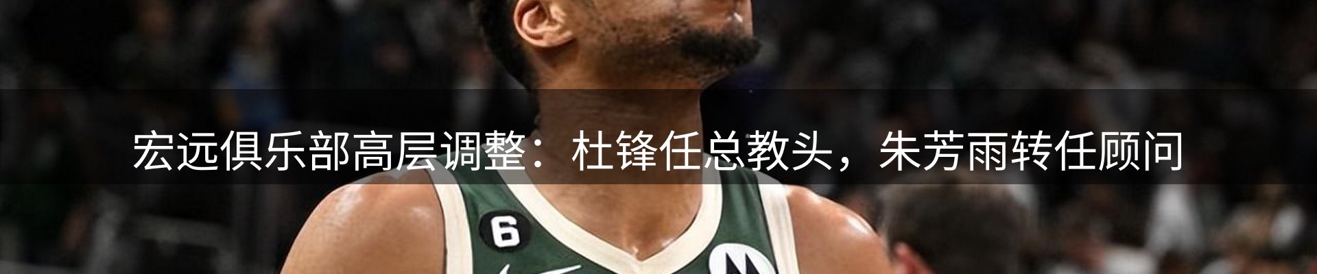 每日精选