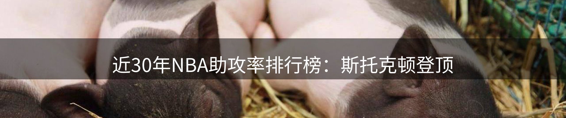 每日精选